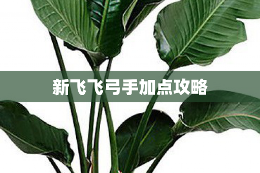 新飞飞弓手加点攻略图片