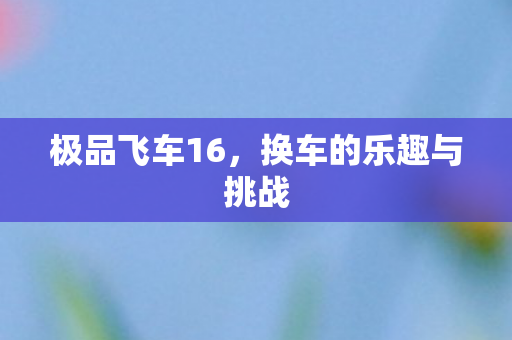 换车的乐趣与挑战图片