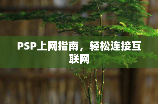 PSP上网指南图片