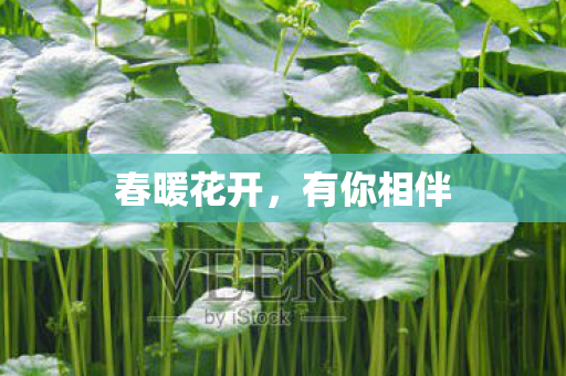 春暖花开图片