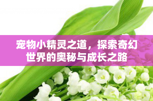 探索奇幻世界的奥秘与成长之路图片