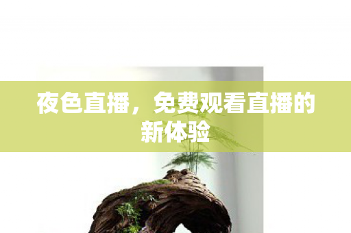 免费观看直播的新体验图片
