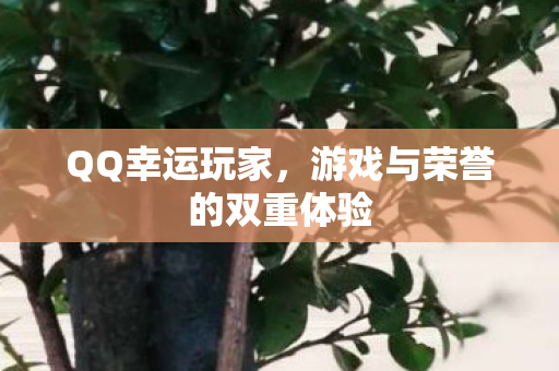 游戏与荣誉的双重体验图片