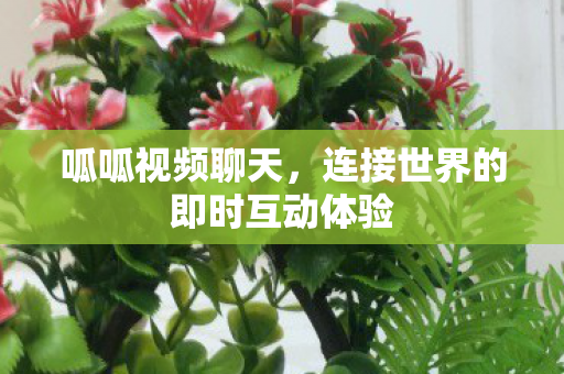 连接世界的即时互动体验图片