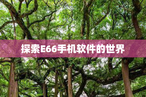 探索E66手机软件的世界图片