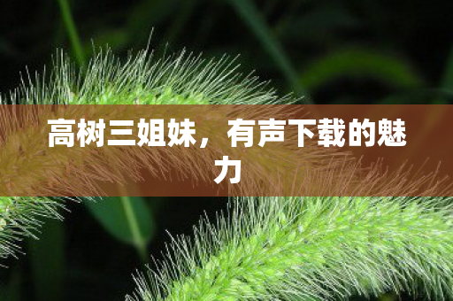 有声下载的魅力图片