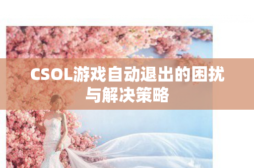 CSOL游戏自动退出的困扰与解决策略图片