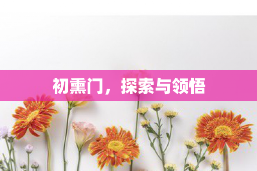探索与领悟图片