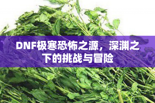 深渊之下的挑战与冒险图片