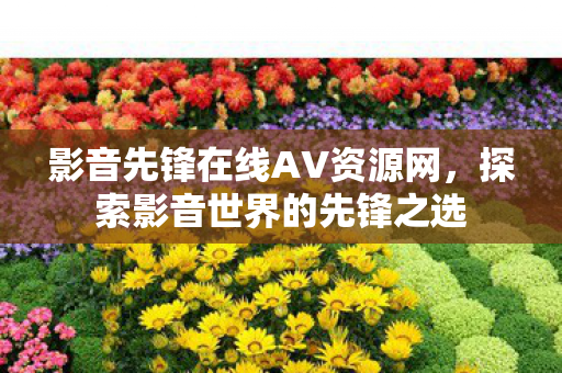 影音先锋在线AV资源网图片