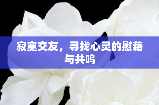 寻找心灵的慰藉与共鸣图片