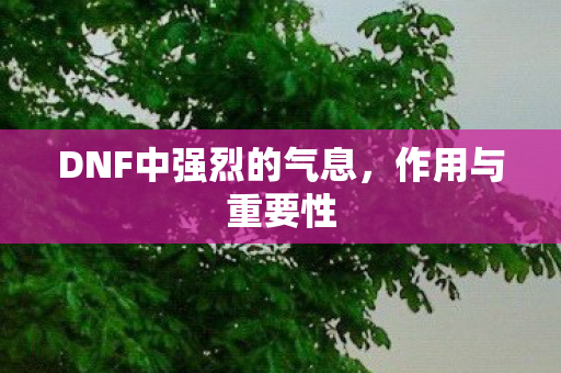 DNF中强烈的气息图片