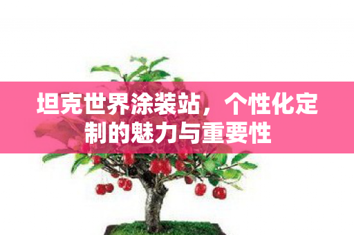 个性化定制的魅力与重要性图片