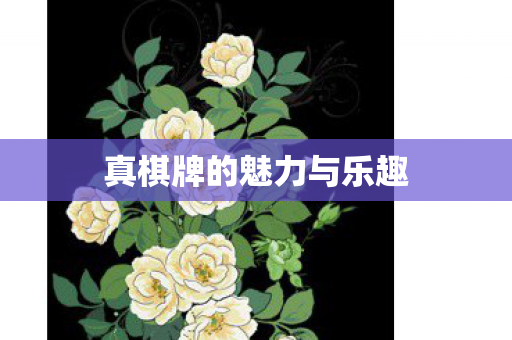 真棋牌的魅力与乐趣图片