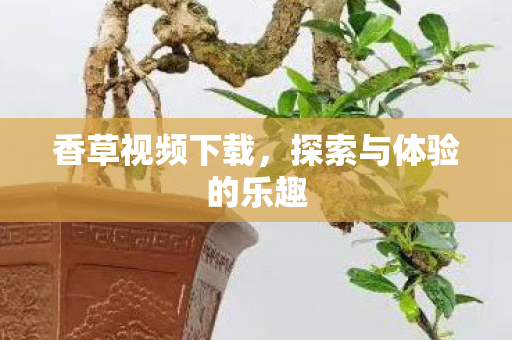 探索与体验的乐趣图片
