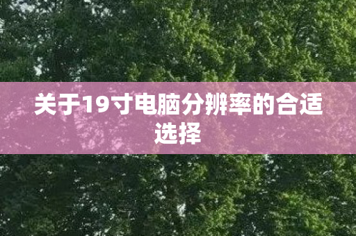 关于19寸电脑分辨率的合适选择图片
