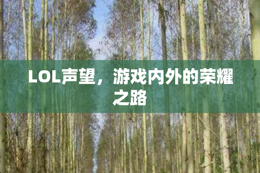 游戏内外的荣耀之路图片