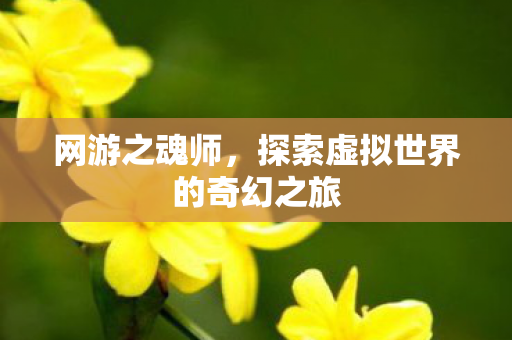 探索虚拟世界的奇幻之旅图片