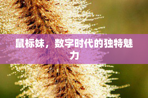 数字时代的独特魅力图片