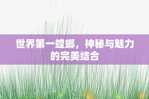 神秘与魅力的完美结合图片