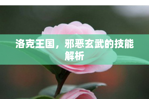 邪恶玄武的技能解析图片
