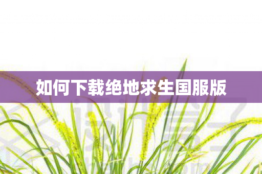 如何下载绝地求生国服版图片