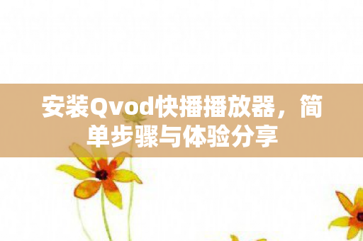安装Qvod快播播放器图片