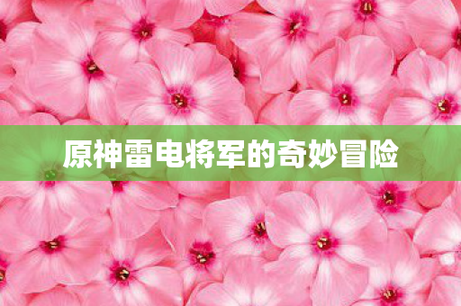 原神雷电将军的奇妙冒险图片