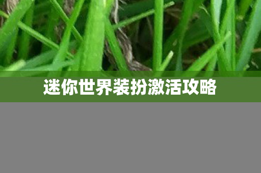 迷你世界装扮激活攻略图片