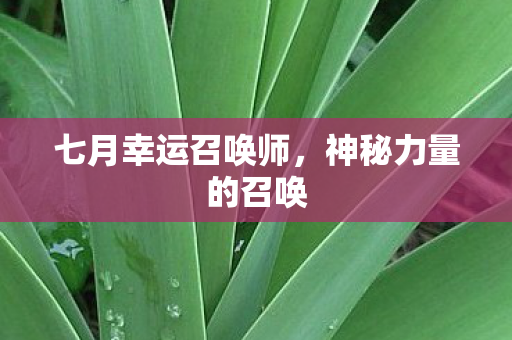 七月幸运召唤师图片