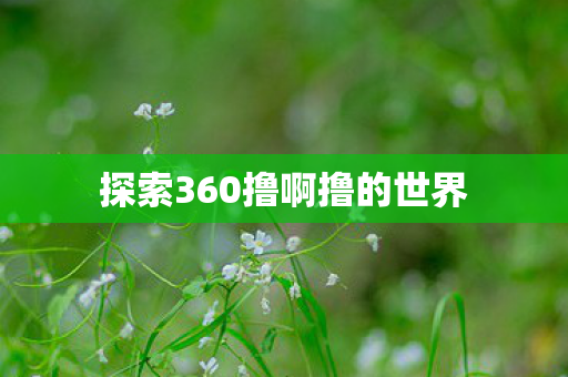 探索360撸啊撸的世界图片