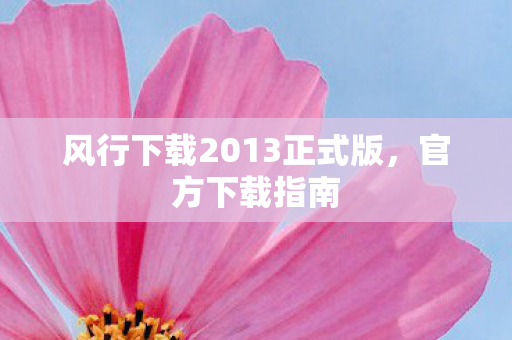 风行下载2013正式版图片