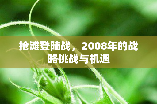 2008年的战略挑战与机遇图片