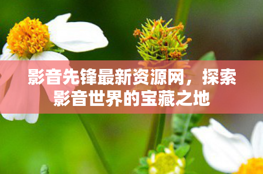 探索影音世界的宝藏之地图片