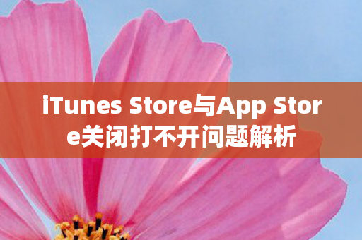 iTunes Store与App Store关闭打不开问题解析图片