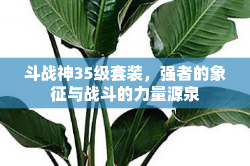 强者的象征与战斗的力量源泉图片