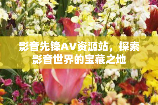 探索影音世界的宝藏之地图片