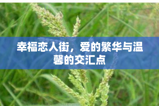 爱的繁华与温馨的交汇点图片