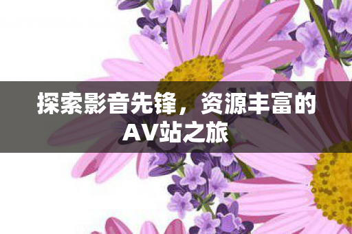 资源丰富的AV站之旅图片