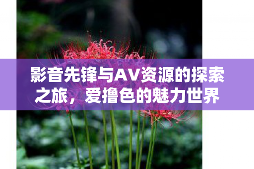 影音先锋与AV资源的探索之旅图片