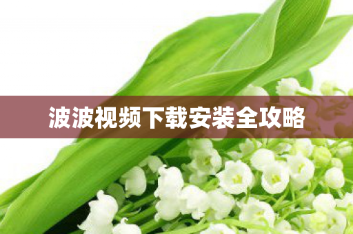 波波视频下载安装全攻略图片