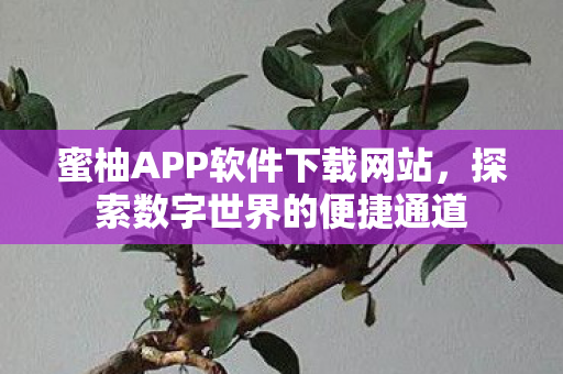 蜜柚APP软件下载网站图片