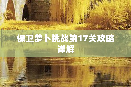 保卫萝卜挑战第17关攻略详解图片