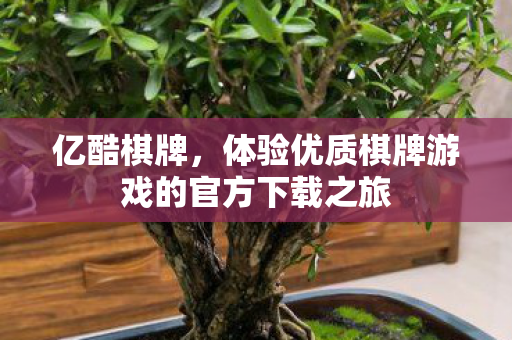 体验优质棋牌游戏的官方下载之旅图片