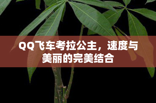 速度与美丽的完美结合图片