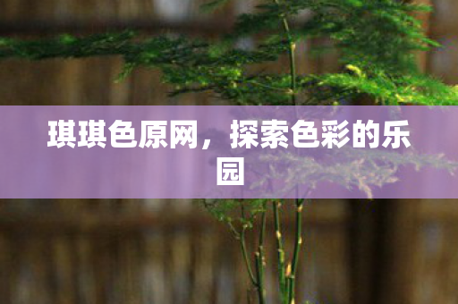 探索色彩的乐园图片