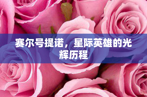 星际英雄的光辉历程图片