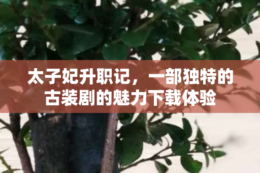 一部独特的古装剧的魅力下载体验图片