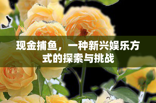 一种新兴娱乐方式的探索与挑战图片