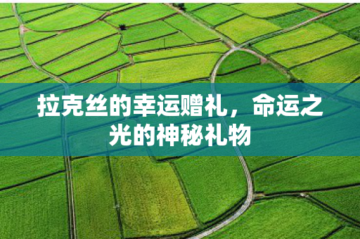 命运之光的神秘礼物图片